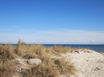 Einblick in den Wohn-/Essbereich