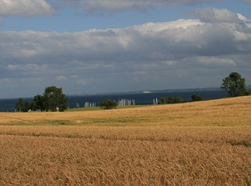 Einblick in den Wohn-/Essbereich